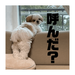 [LINEスタンプ] 琥珀びより