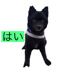 [LINEスタンプ] 文ちゃん＠スタンプ