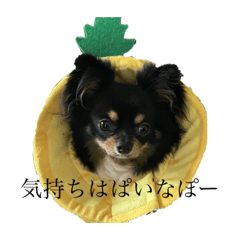[LINEスタンプ] らぶりーちろる さーど
