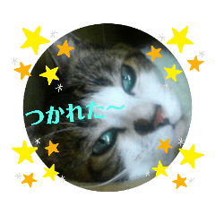 [LINEスタンプ] ドラエモン①