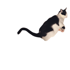 [LINEスタンプ] おむすびにぎりのすけ君