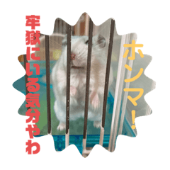 [LINEスタンプ] ハムちゃんの独り言