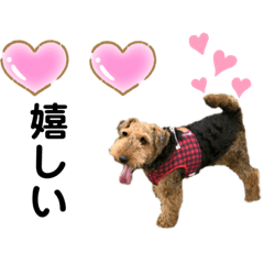 [LINEスタンプ] ウェルシュテリア♡ジェリーさんの1日⑥