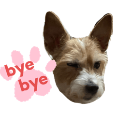 [LINEスタンプ] まいるっちゃん 3