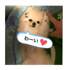 [LINEスタンプ] ラミちゃん！