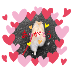 [LINEスタンプ] ぴのこ わんわん