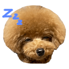 [LINEスタンプ] はるきfamily