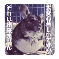 [LINEスタンプ] とろろの使えるスタンプ【敬語】