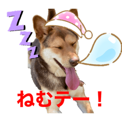 [LINEスタンプ] イヌの気持ちスタンプ！