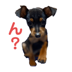[LINEスタンプ] あいけんれっくす