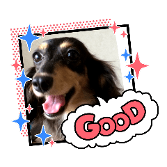 [LINEスタンプ] C＆Aの日常