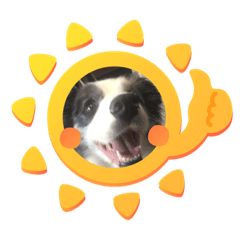 [LINEスタンプ] 毎日ボンド