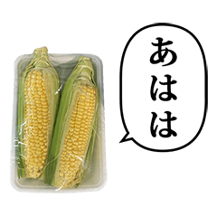 [LINEスタンプ] とうもろこし2本 と ふきだし