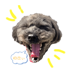 [LINEスタンプ] うちのころすけ