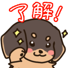 [LINEスタンプ] ダックスのもも田マロン  ブラックタンの画像（メイン）