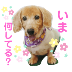 [LINEスタンプ] カイリ3
