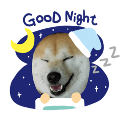 [LINEスタンプ] あまのじゃくなしば犬