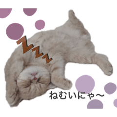 [LINEスタンプ] むぎのきまぐれスタンプ