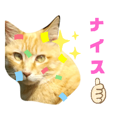 [LINEスタンプ] にゃいとメタルのちょこっとスタンプ