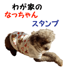 [LINEスタンプ] わが家のなっちゃんスタンプ