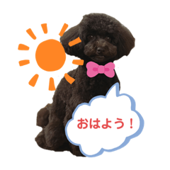 [LINEスタンプ] こむぎちゃんがいっぱい2