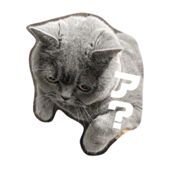 [LINEスタンプ] ルーナスタンプ