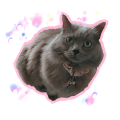 [LINEスタンプ] はちゅ2