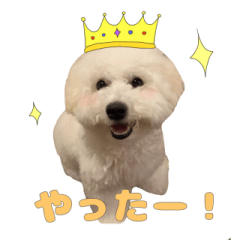 [LINEスタンプ] りんくんすきすき倶楽部