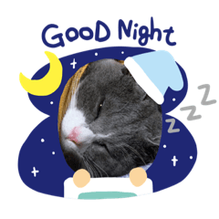 [LINEスタンプ] うめちゃんスタイル
