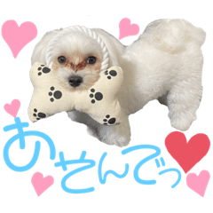 [LINEスタンプ] 愛犬ジルちゃん！