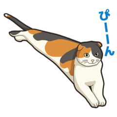 [LINEスタンプ] 我が家のみーちゃん(いらすと)