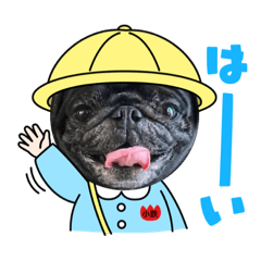 [LINEスタンプ] 黒パグ小鉄