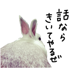 [LINEスタンプ] 上から目線のロイドくん2