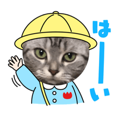 [LINEスタンプ] ニャー助 第二弾