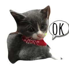 [LINEスタンプ] うめちゃんふぁん