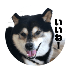 [LINEスタンプ] 桃香スタンプその2