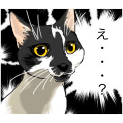 [LINEスタンプ] あまりにもリアルな猫