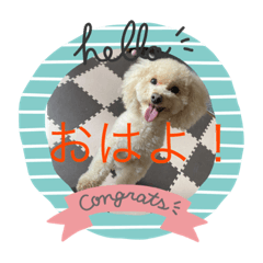 [LINEスタンプ] アプリコット コロンちゃん！