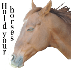 [LINEスタンプ] お馬さんが一言2(英語版)