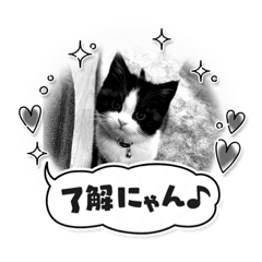 [LINEスタンプ] パンとオレオ
