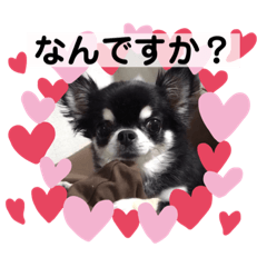 [LINEスタンプ] まいにちくぅちゃん