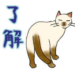 [LINEスタンプ] のんびりまったり猫との日常。