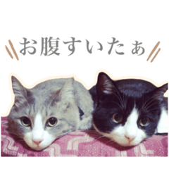 [LINEスタンプ] おーくんとあおちゃん