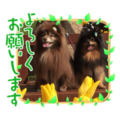 [LINEスタンプ] きらくん大好きスタンプ