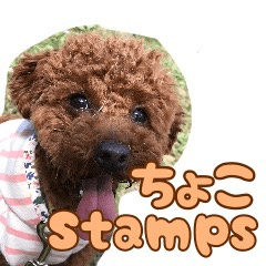 [LINEスタンプ] 愛しのちょこぴー