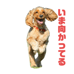 [LINEスタンプ] ノエルさん1