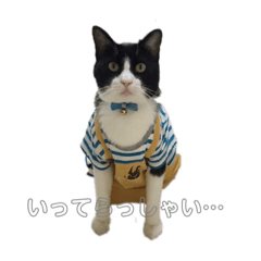 [LINEスタンプ] 風太郎④