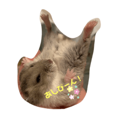 [LINEスタンプ] 麦米スタンプ