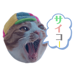 [LINEスタンプ] ピー助とゆかいななかまたち