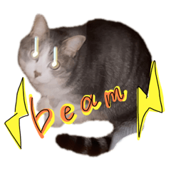 [LINEスタンプ] しぐまのスタンプ2